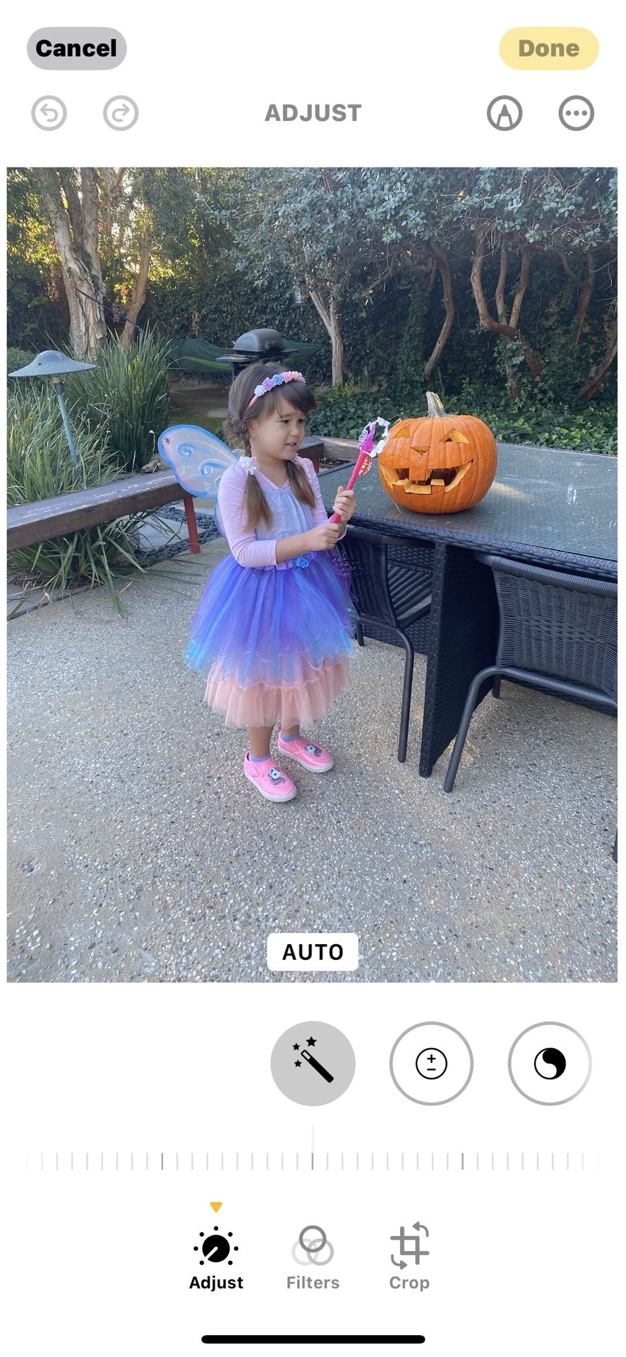 Fairy Costume Kids Halloween