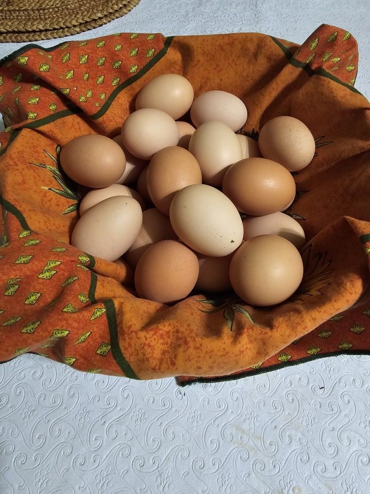 Organic Eggs $8