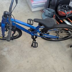 20 Inch Blue Bike