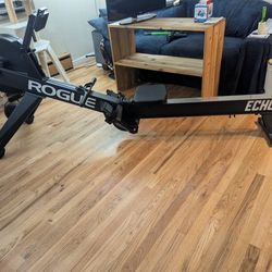 Rogue Echo Rower- Like New