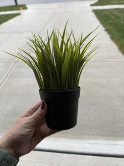 Small Artificial Plant