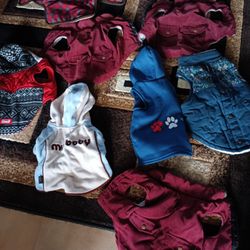 Small Dog Coats Vary Nice 5.00 Each