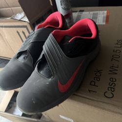 Tiger Woods Nike Golf Shoes 