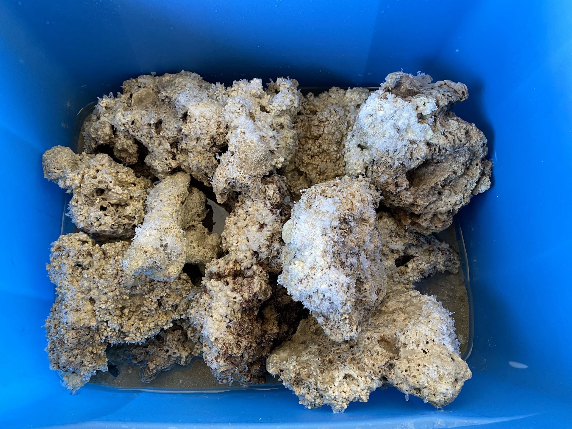 Live Rock For Salt Water Fish Tank