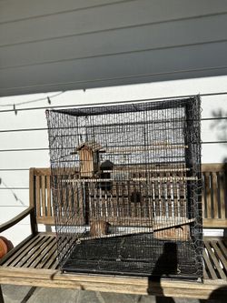 Bird Cage