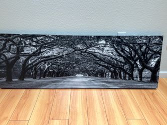 Wall Art Trees Forest Dark