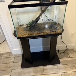 20 Gallon Fish Tank With Stand And  Whit A Lot Of Decorations And Extra