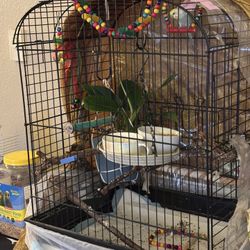 Bird Pet Supplies