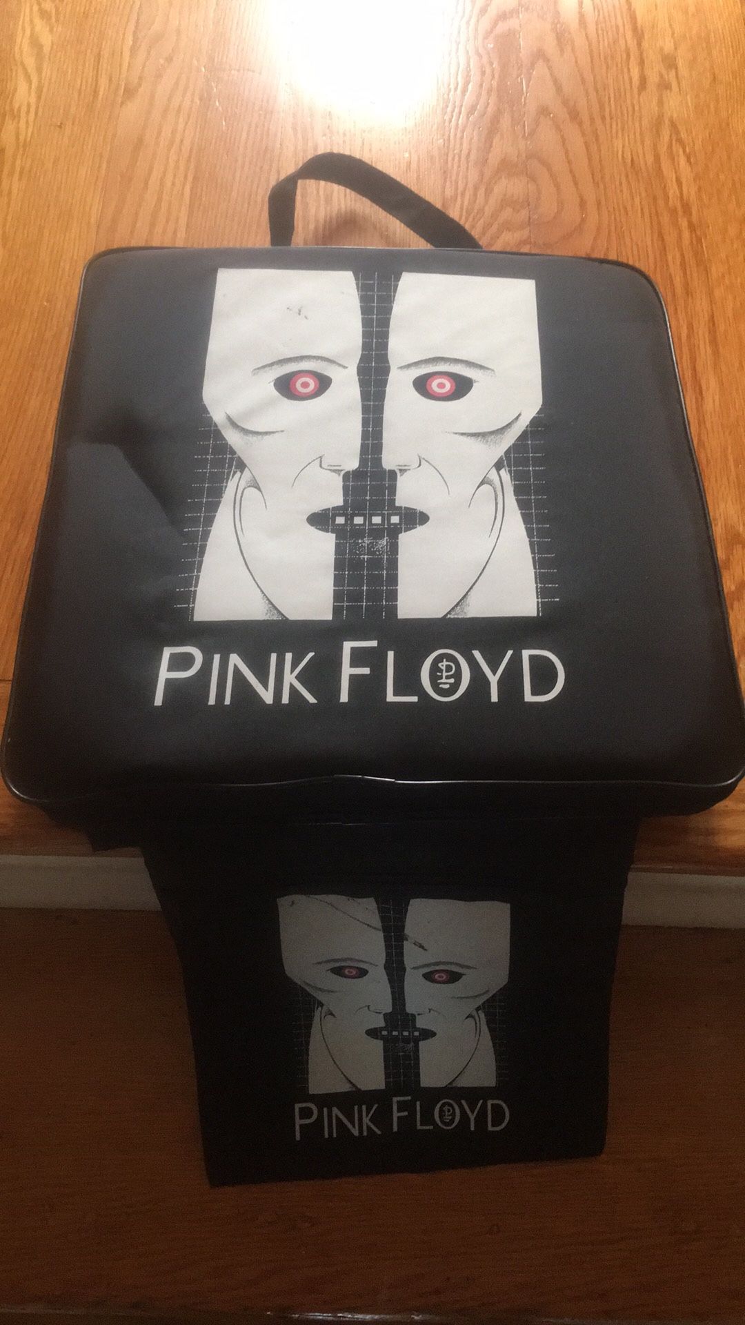 Pink Floyd Concert Cushion