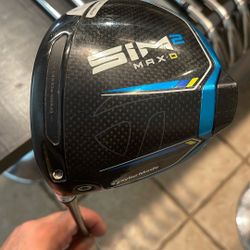 Sim 2 Max D Driver 