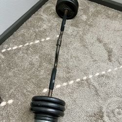 Curled Barbell with Weights, 85lb