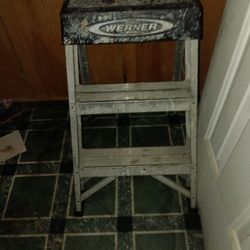 2 Foot Ladder 