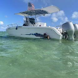 Sea Chaser Cat 23”