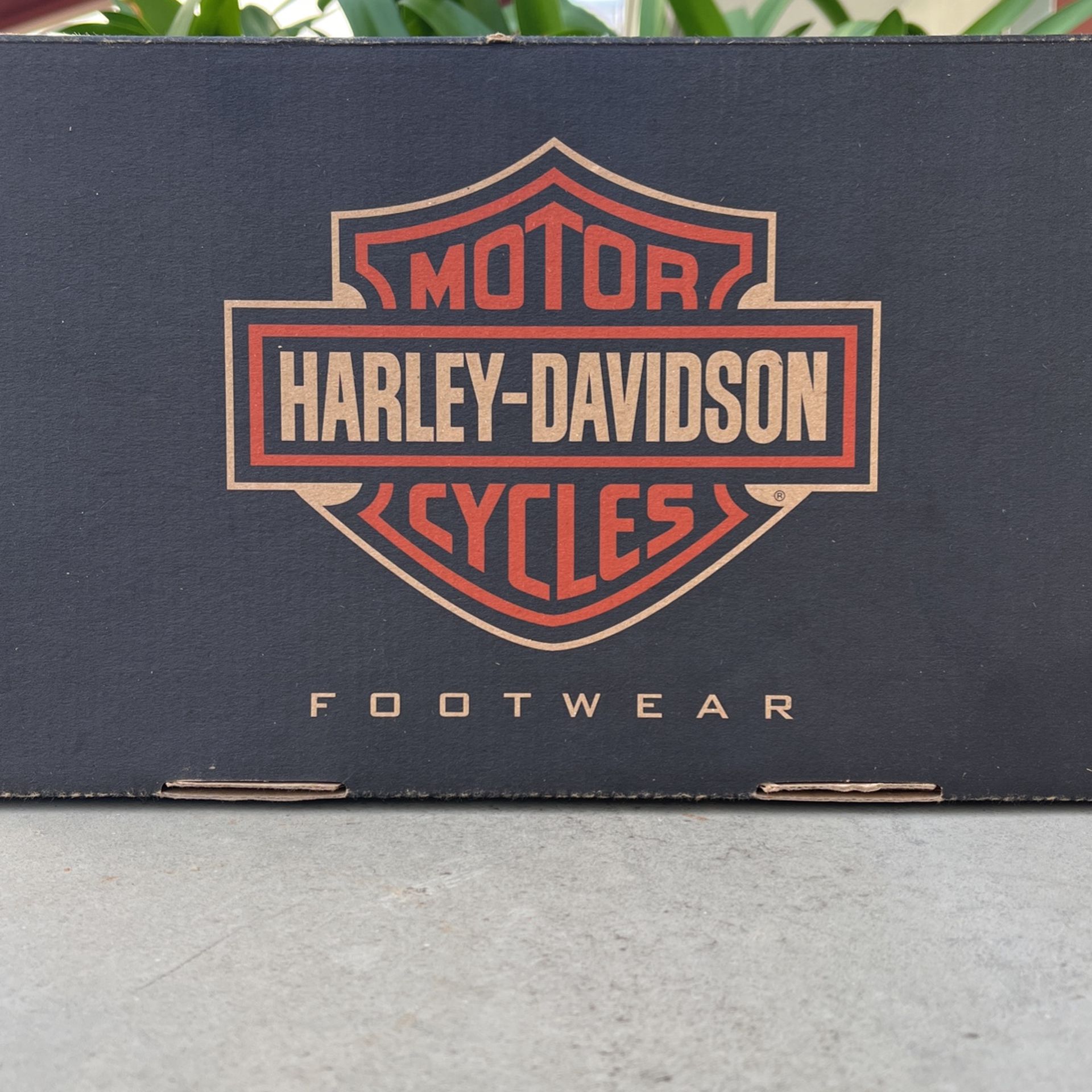Harley Davidson Chuck Taylors