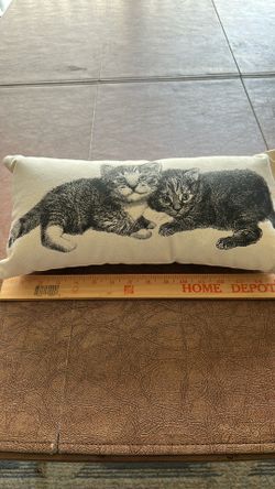 Cat Pillow
