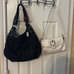 Handbags / Purse