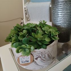 Fake Succelent Planter