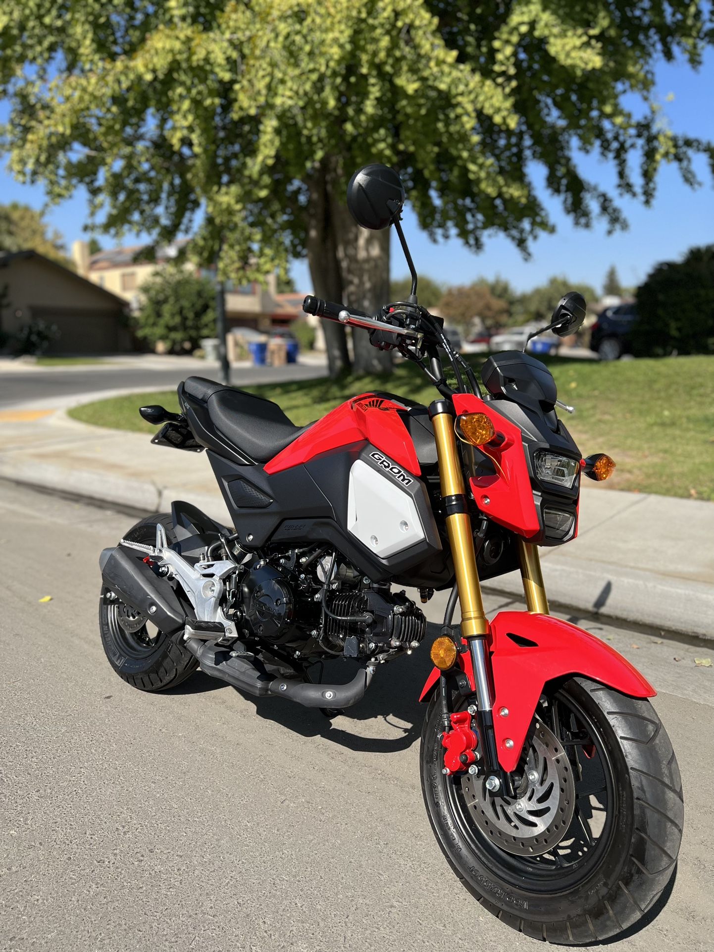 2020 honda grom green