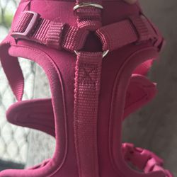 Pink Doggy Harness