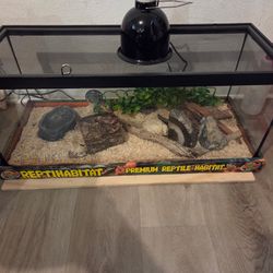 Snake 🐍 And Setup