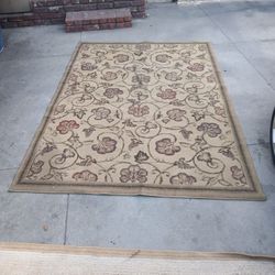 5×8 Area Rug