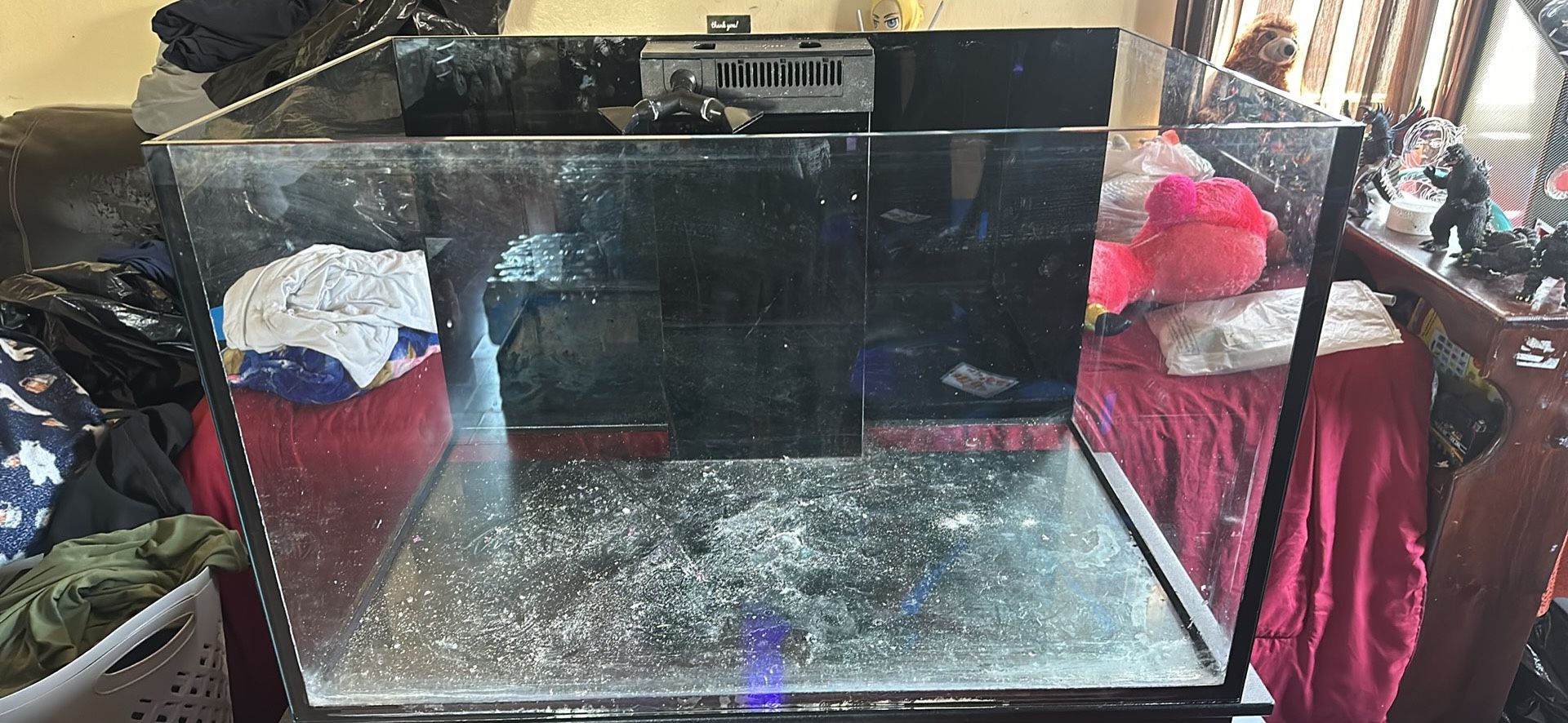 Fish Tank