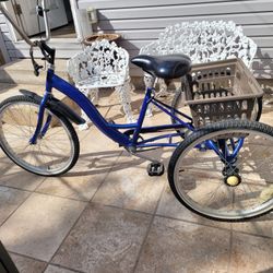 Adult Trike Bicycle 