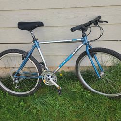 RALEIGH TECHNIUM  BIKE 