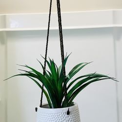 White Plant Hanger 