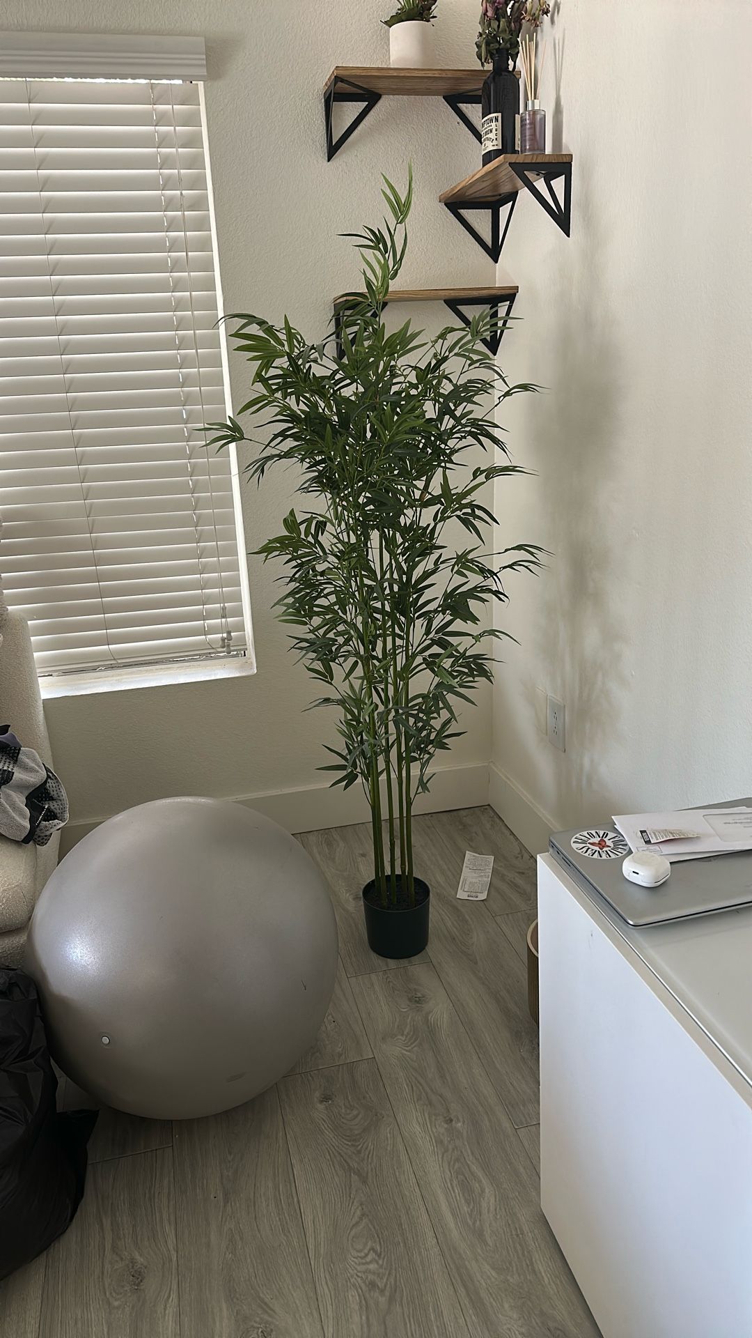 Fake Plant