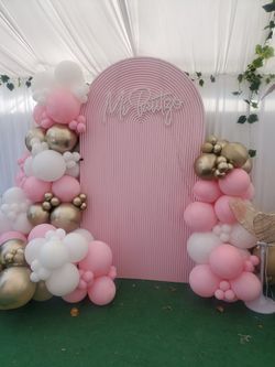 Backdrops And Much More Available 