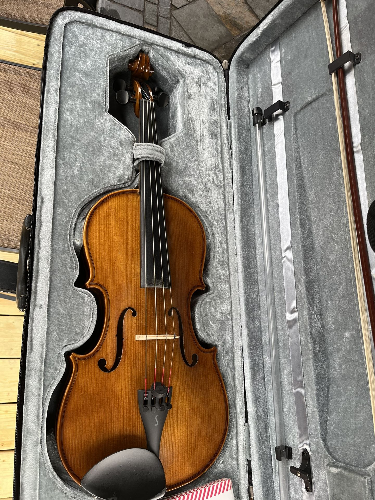 Viola