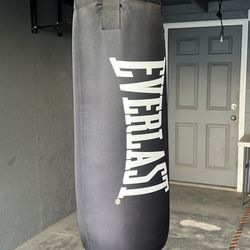 40LB Everlast Heavy Bag