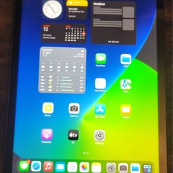 Apple Ipad. 