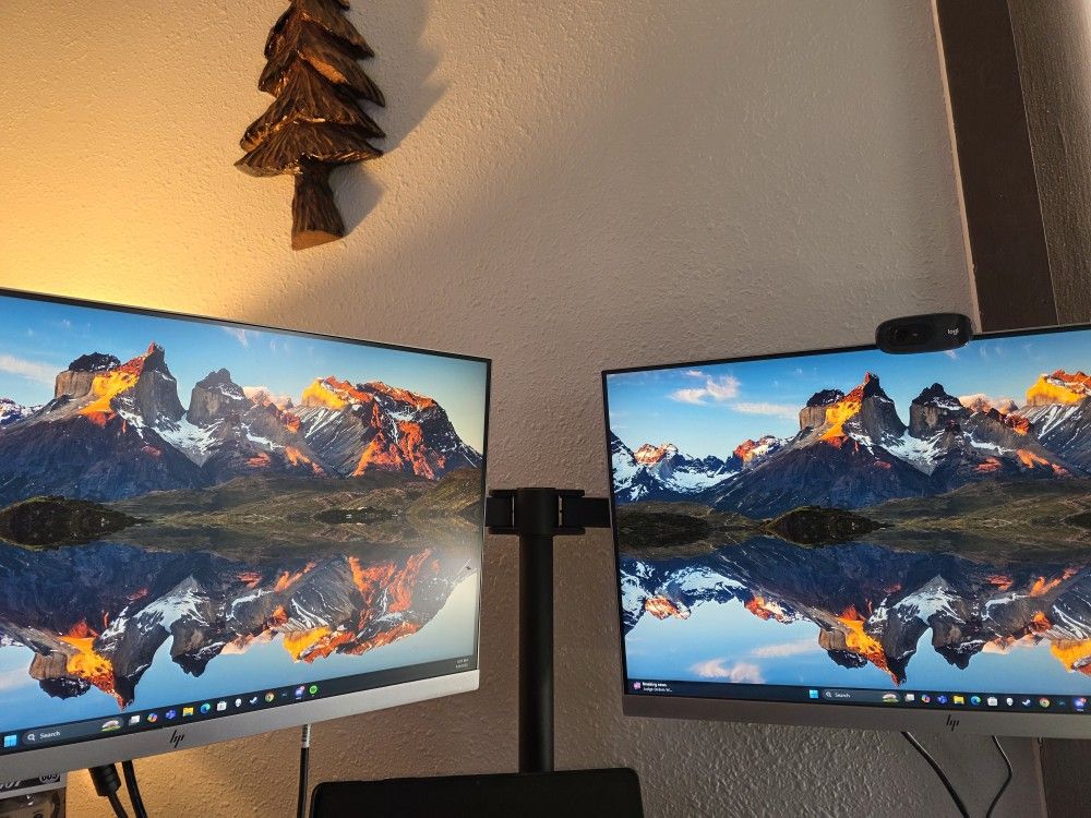 HP 24 Inch Desktop Monitor