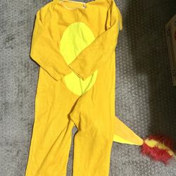 Youth Large Pokemon Charizard Costume