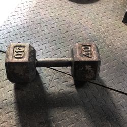 Dumbbell 40 Lb Weight