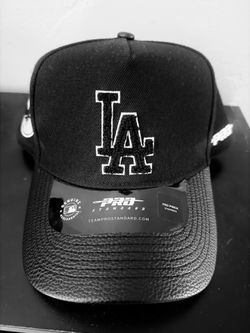 LA Dodgers Pro standard SnapBack
