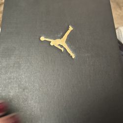 Jordan 11 Retro High Animal Instincts toddlers $65