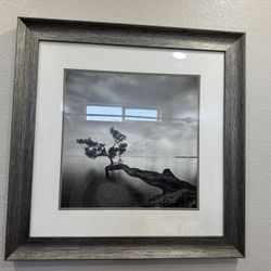 Large Frame Art