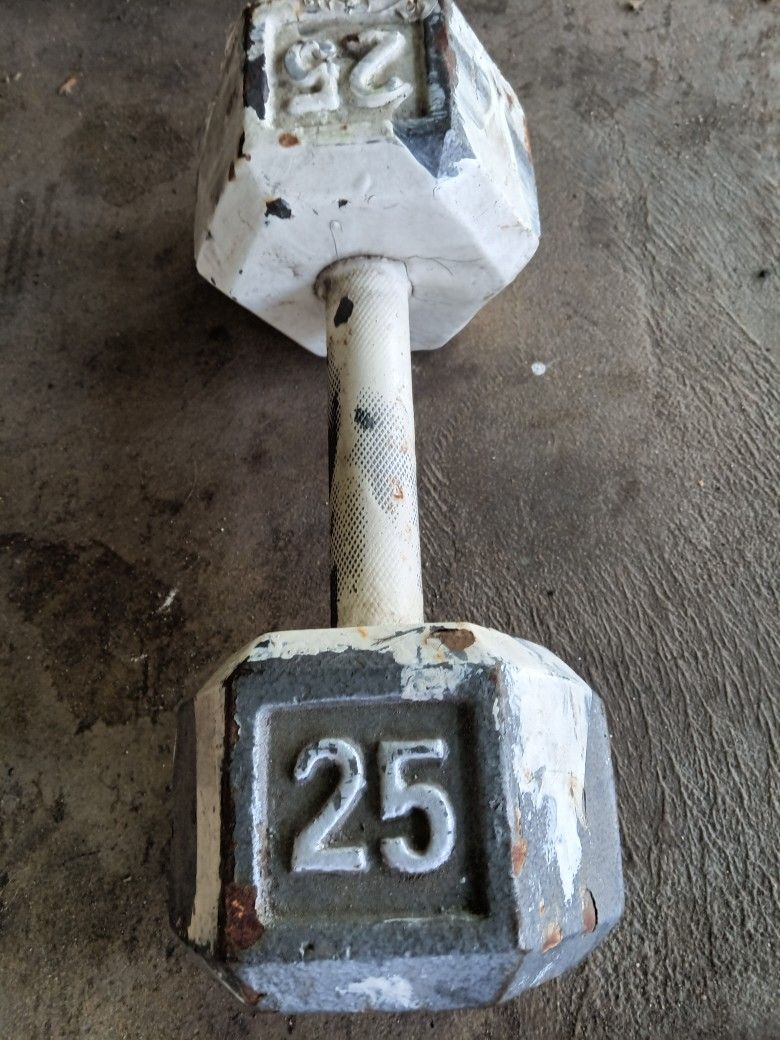 Dumbbell Single 25