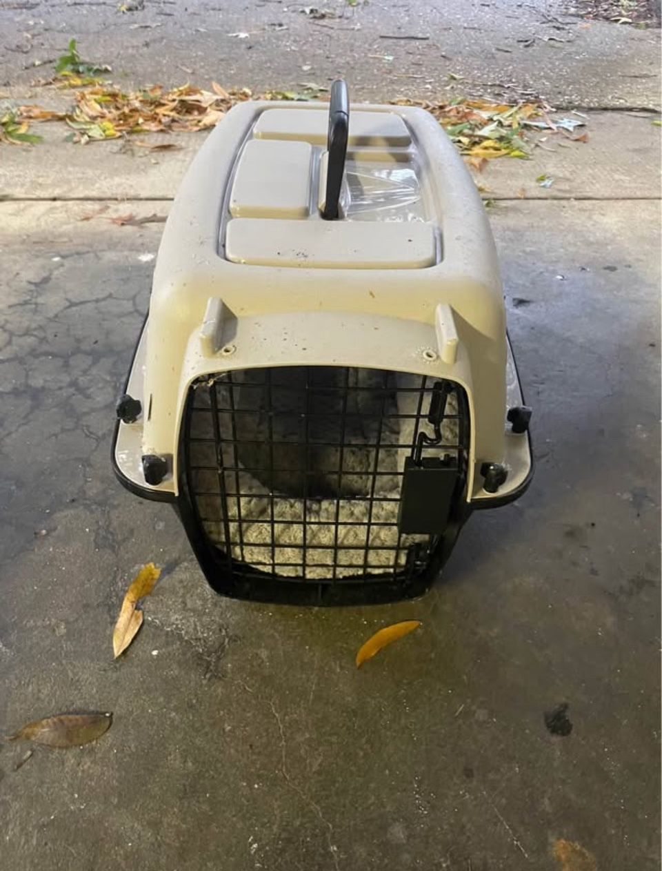 Small Pet Carrier With Cushion
