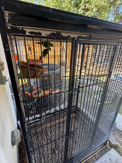 Large metal bird cage