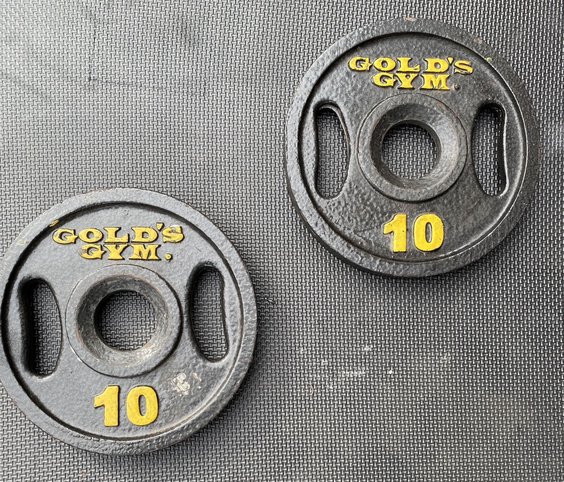 10 Lb 10lb Olympic Weight Plates Gold’s Gym - Pair
