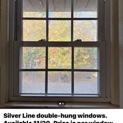 Silver Line double-hung windows. Available 11/20. Price is per window. 