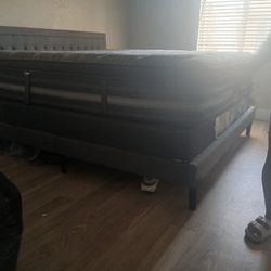 King Bed And Box Spring Pls Frame