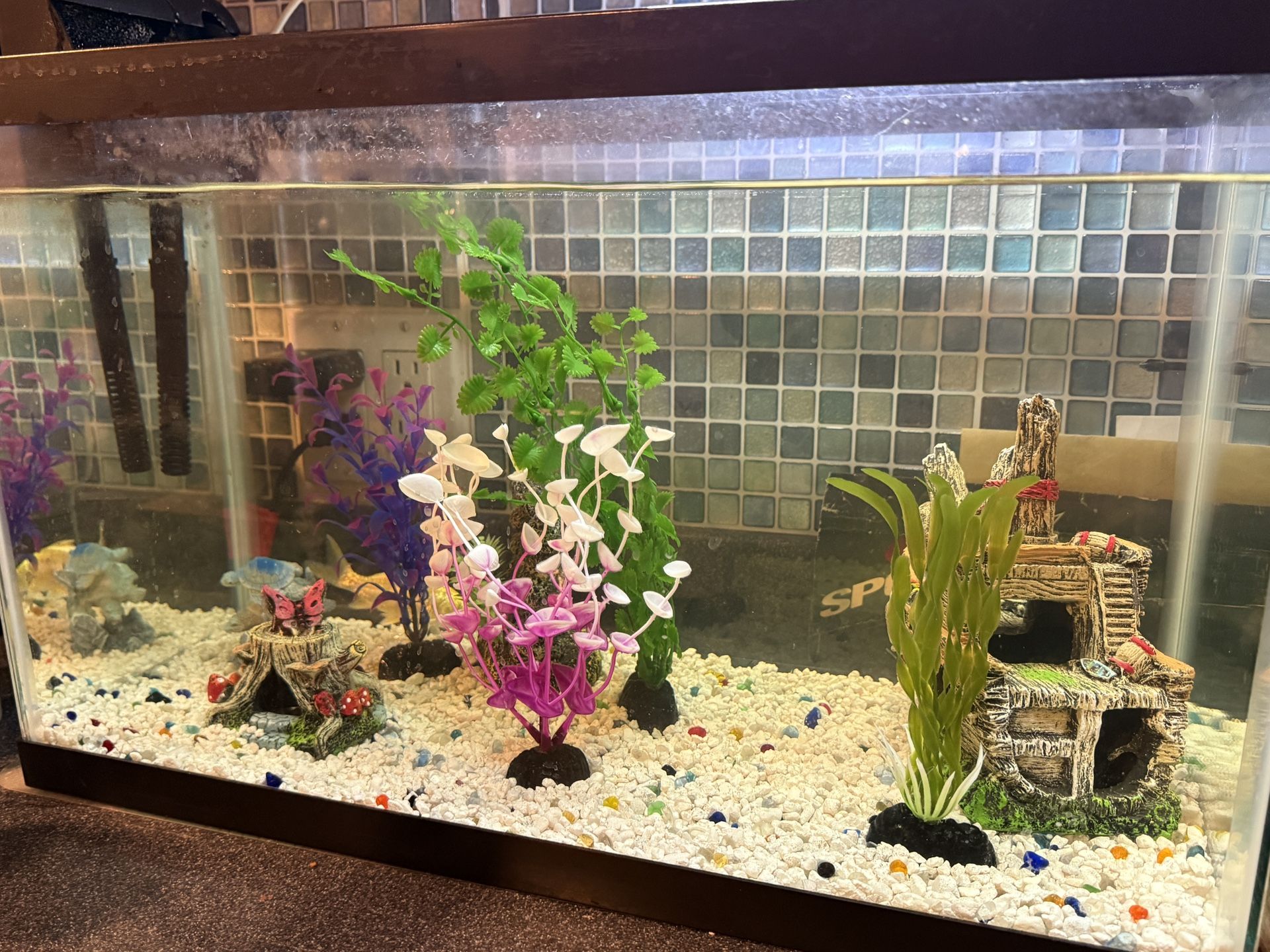 TEN GALLON FISH TANK AND MORE