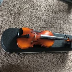 Viola 