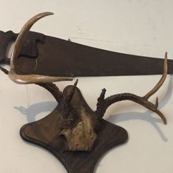 Mounted 8 Pointer Deer Antlers