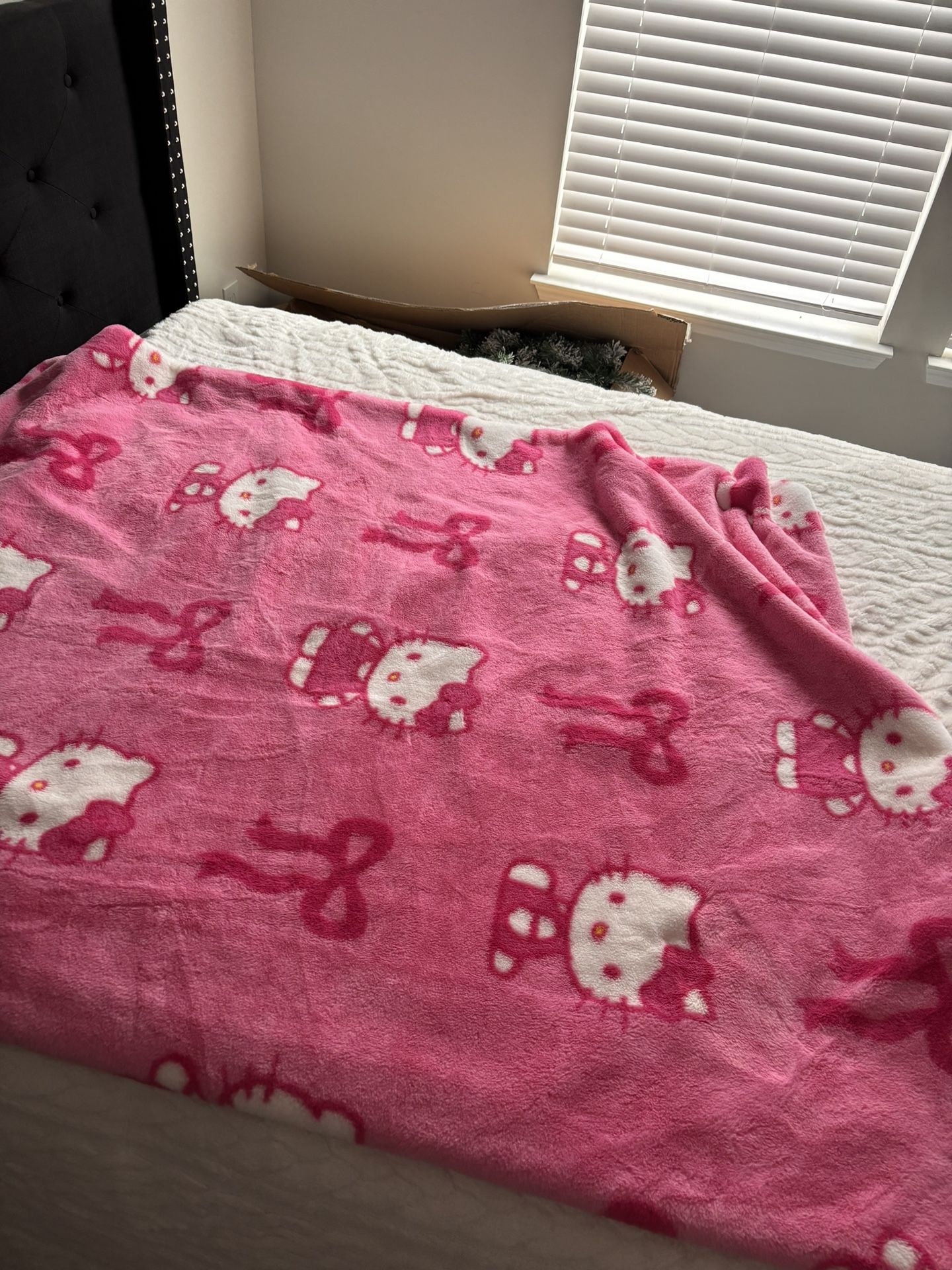 Hello Kitty Bkanket